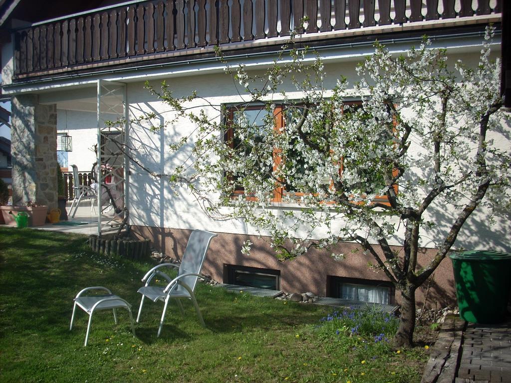 Ferienwohnung Lahntal/Taunus Huttenberg Eksteriør bilde